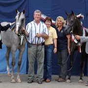 New Zealand Arabian Nationals