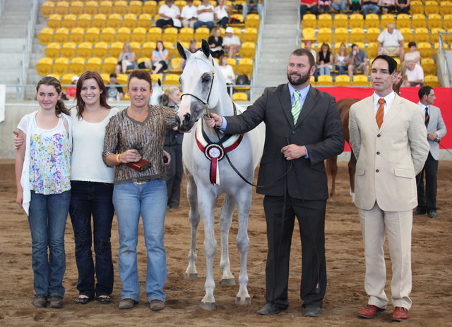 New Zealand Arabian Nationals