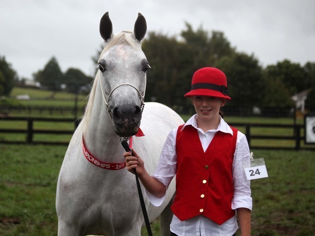 New Zealand Arabian Nationals