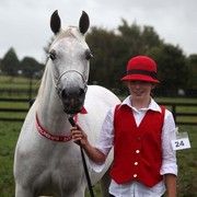 New Zealand Arabian Nationals