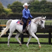 New Zealand Arabian Nationals