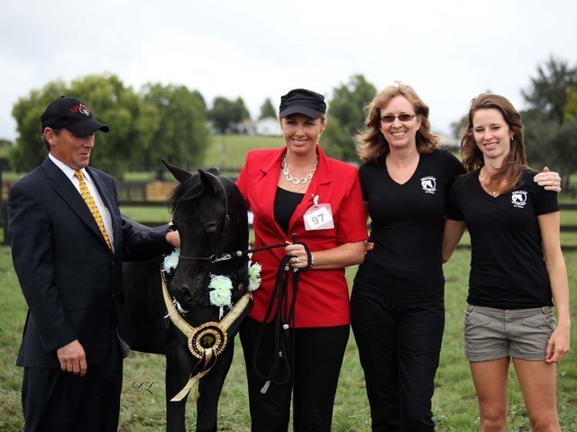 New Zealand Arabian Nationals