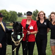 New Zealand Arabian Nationals