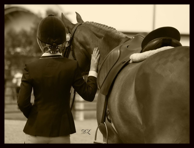 New Zealand Arabian Nationals