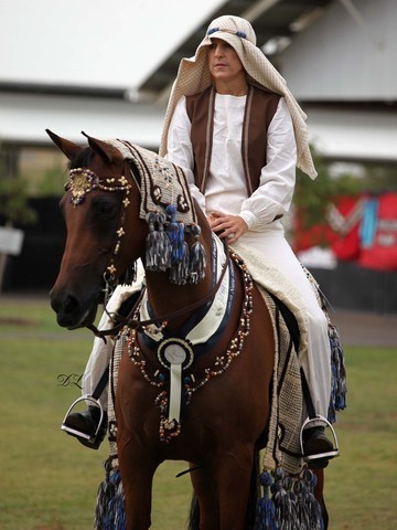 New Zealand Arabian Nationals