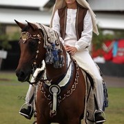 New Zealand Arabian Nationals