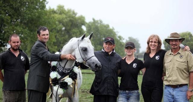 New Zealand Arabian Nationals