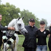 New Zealand Arabian Nationals