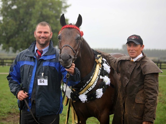 New Zealand Arabian Nationals