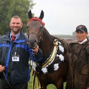 New Zealand Arabian Nationals