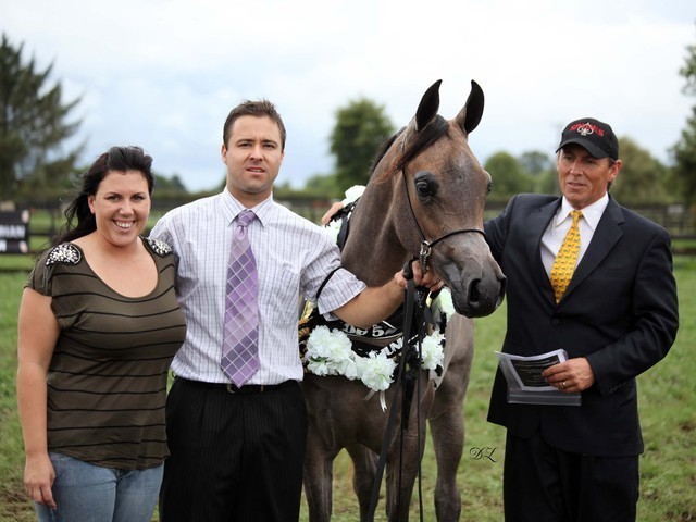 New Zealand Arabian Nationals
