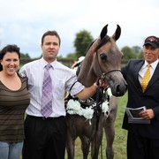 New Zealand Arabian Nationals
