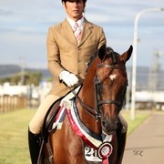 New Zealand Arabian Nationals