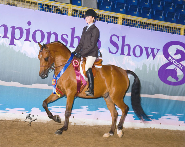 Arabhorse.com Spotlight - Taryn Derse