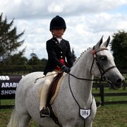 New Zealand Arabian Nationals