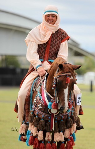 New Zealand Arabian Nationals