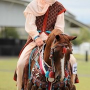 New Zealand Arabian Nationals