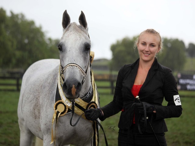 New Zealand Arabian Nationals