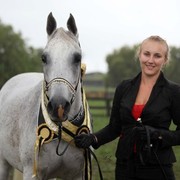 New Zealand Arabian Nationals