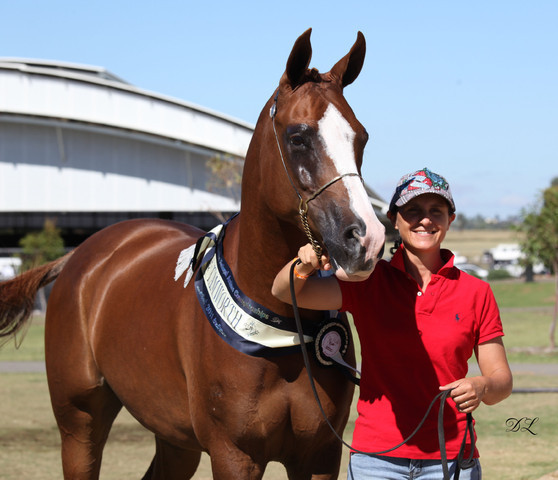 New Zealand Arabian Nationals