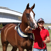 New Zealand Arabian Nationals