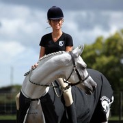 New Zealand Arabian Nationals