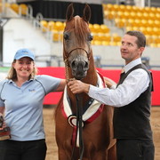 New Zealand Arabian Nationals