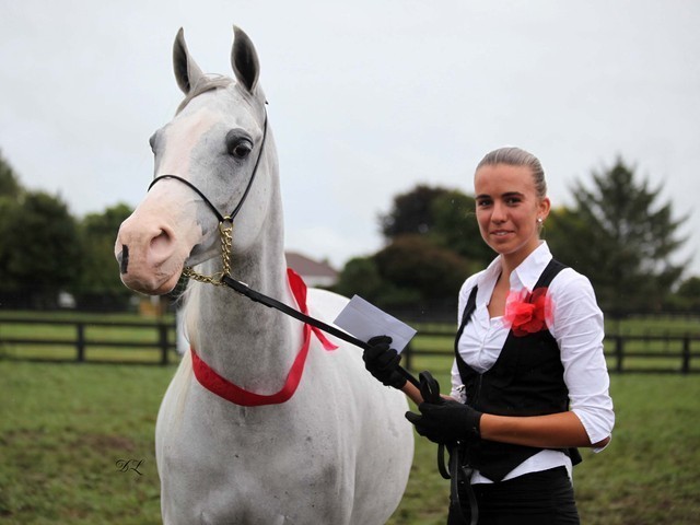 New Zealand Arabian Nationals