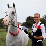 New Zealand Arabian Nationals