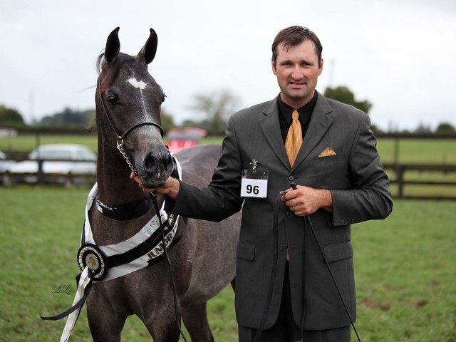 New Zealand Arabian Nationals