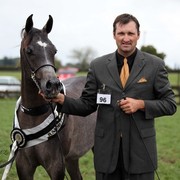 New Zealand Arabian Nationals