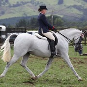New Zealand Arabian Nationals