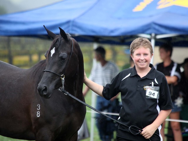 New Zealand Arabian Nationals