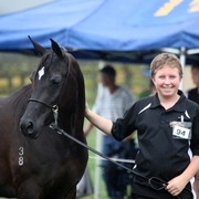 New Zealand Arabian Nationals