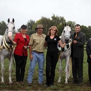 New Zealand Arabian Nationals