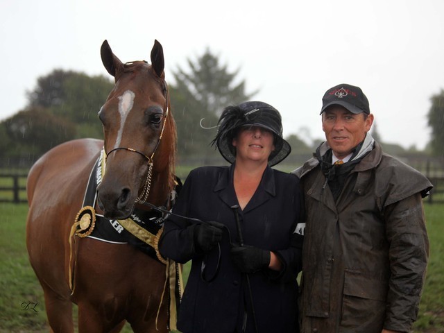 New Zealand Arabian Nationals