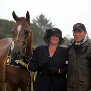 New Zealand Arabian Nationals