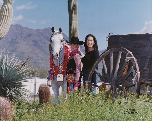 Arabhorse.com Spotlight - Taryn Derse