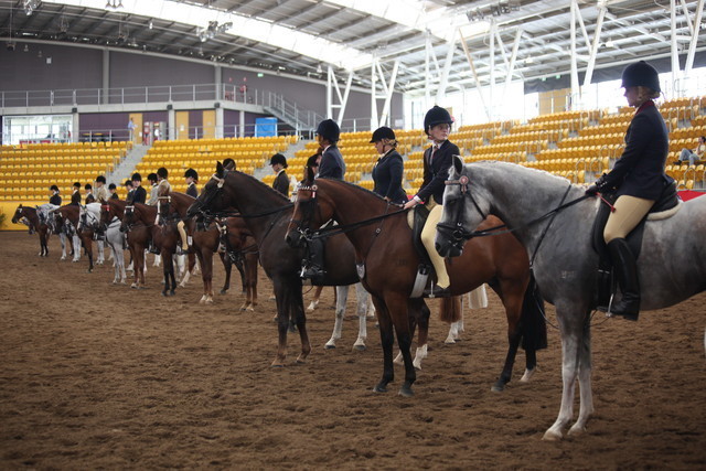 New Zealand Arabian Nationals
