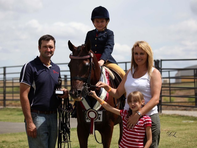 New Zealand Arabian Nationals