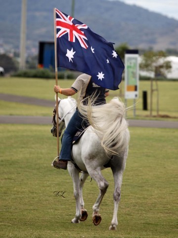 New Zealand Arabian Nationals