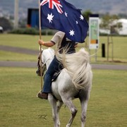 New Zealand Arabian Nationals