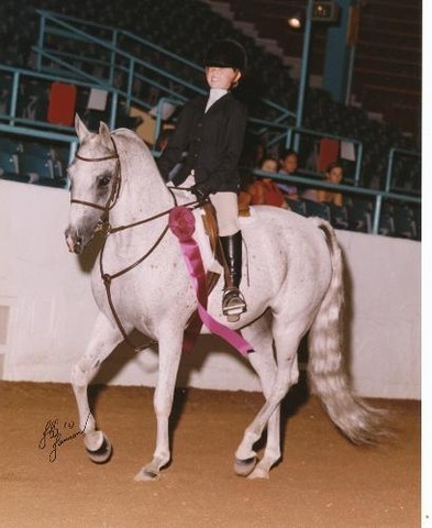 Arabhorse.com Spotlight - Taryn Derse