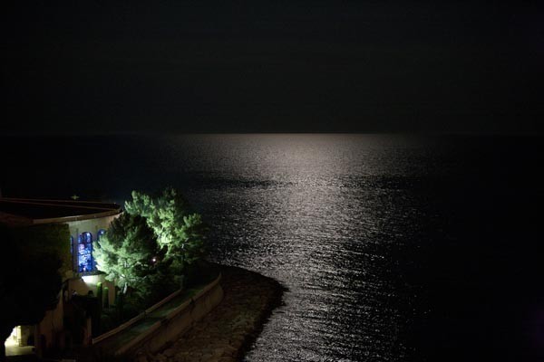 Medditerranean and Arab Countries Arabian Horse Championship | Day 1