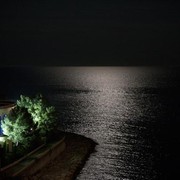 Medditerranean and Arab Countries Arabian Horse Championship | Day 1