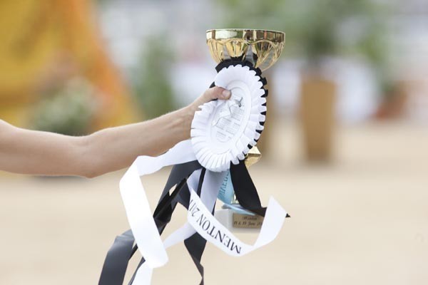 Medditerranean and Arab Countries Arabian Horse Championship | Day 1