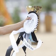 Medditerranean and Arab Countries Arabian Horse Championship | Day 1