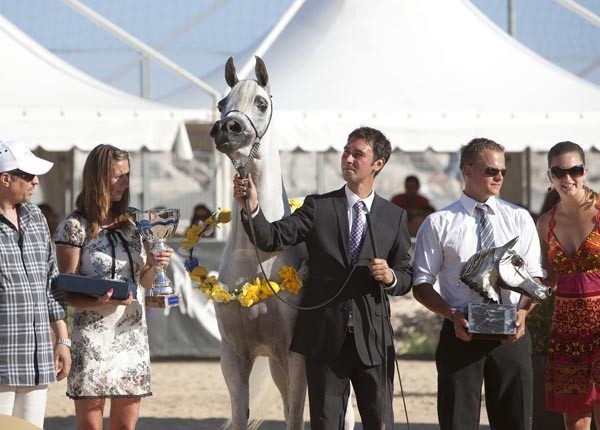 Medditerranean and Arab Countries Arabian Horse Championship | Day 2