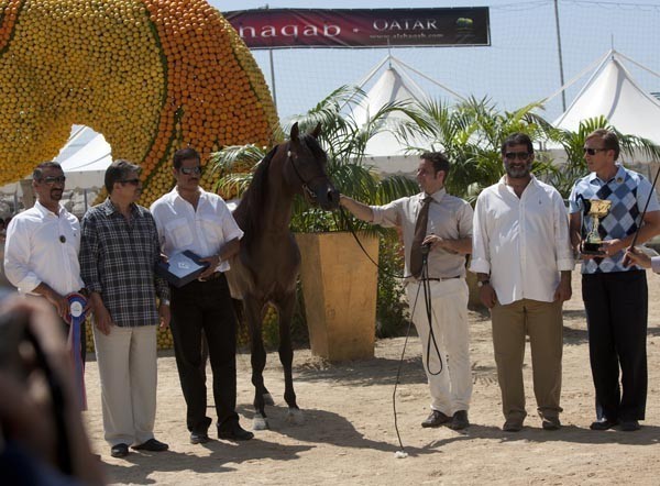 Medditerranean and Arab Countries Arabian Horse Championship | Day 2