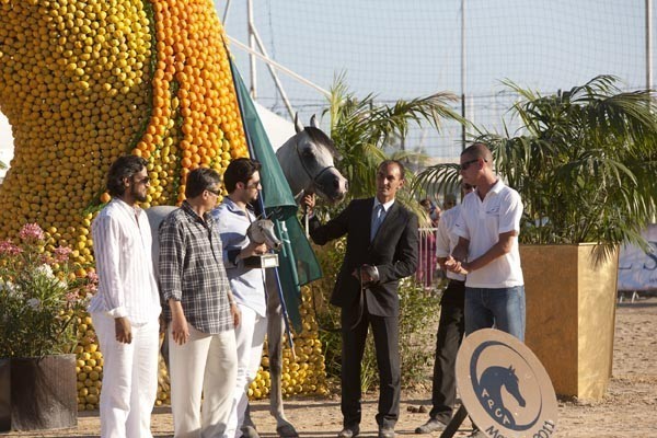 Medditerranean and Arab Countries Arabian Horse Championship | Day 2